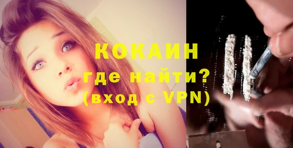 ГАЛЛЮЦИНОГЕННЫЕ ГРИБЫ Михайлов