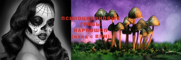 СК Надым