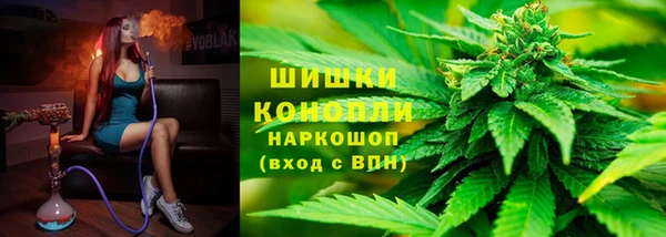 гашик Северская