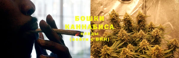 СК Надым