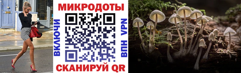 даркнет сайт  Весьегонск  Псилоцибиновые грибы мухоморы 